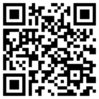 闪闪弹幕下载官方版