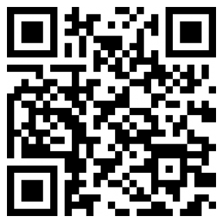 鲁班去字幕官方下载