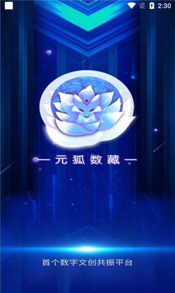 元狐数藏绿色安装