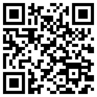 松果极速版手机app