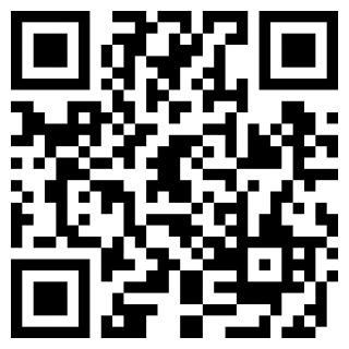 全局复制汉化版下载安装安卓版本