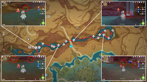 原神悼灵花采集路线图 悼灵花刷新时间分享