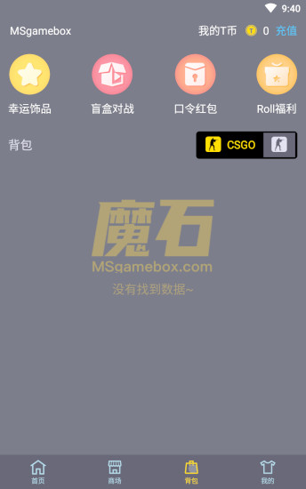 MS魔石