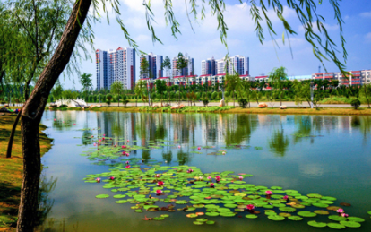 漯河发布客户端v5.0.4