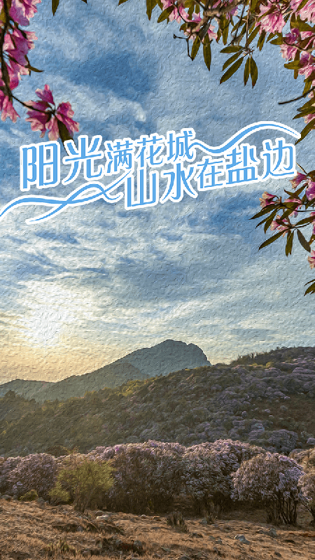 山水盐边app