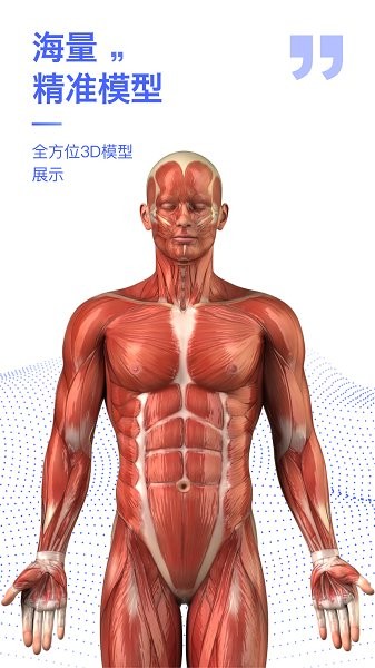解剖学图谱app下载
