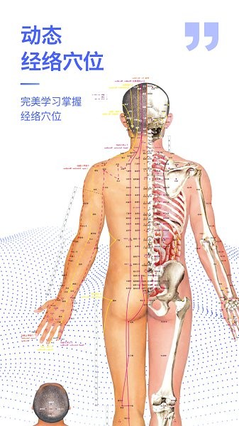 解剖学图谱软件