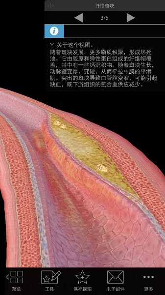 3d生理和病理学软件