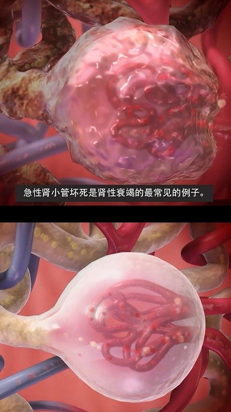 3d生理和病理学软件