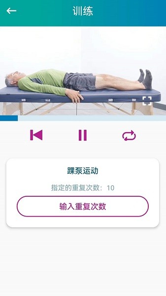 捷行伴侣app下载