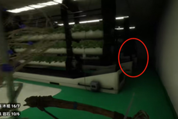 森林之子十字弩的具体位置在地下实验室植物架尸体旁边，玩家从绿色点出发，从一个小洞进去