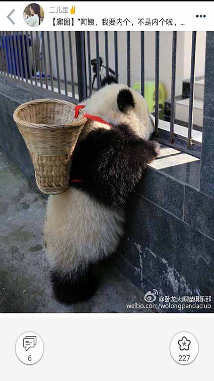 柚次元广播剧2023最新版