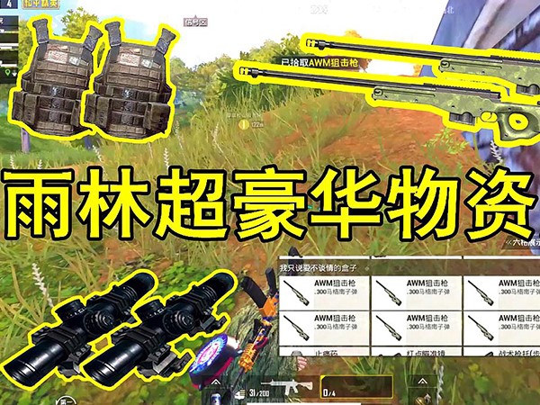 和平精英雨林资源大盘点