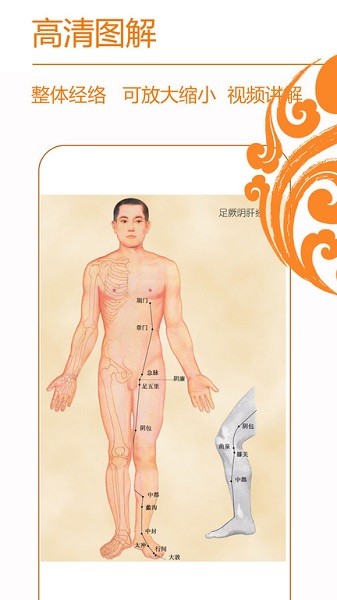 经络养生软件下载