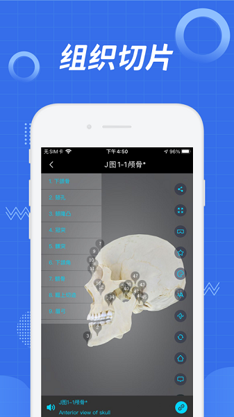 医维度最新版下载