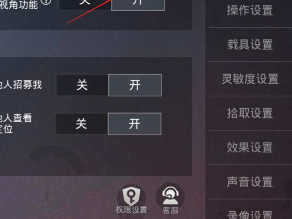 和平精英淘汰回放功能怎么开