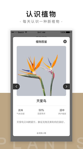 花田小憩软件安卓下载2023