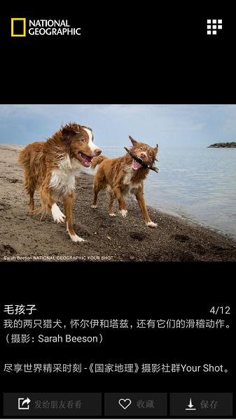 国家地理中文版app最新版下载