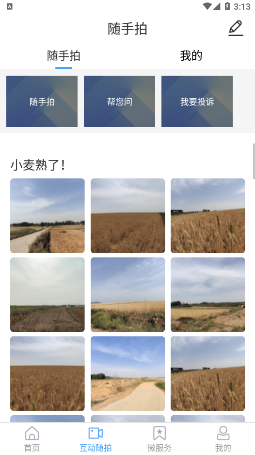 临沭首发手机客户端
