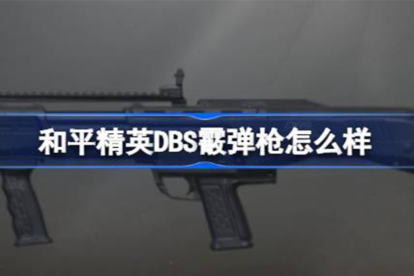 和平精英dbs属性