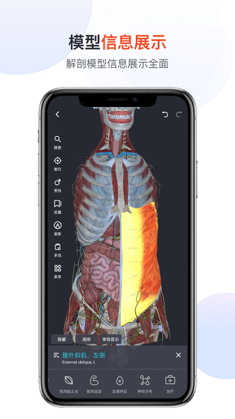 口袋人体解剖免费版2024app下载安装