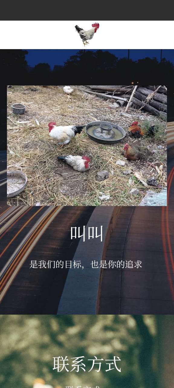 闪叫搜索软件安卓版下载