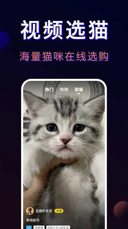 宠物宝app官方下载