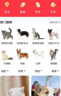 宠物宝app官方下载
