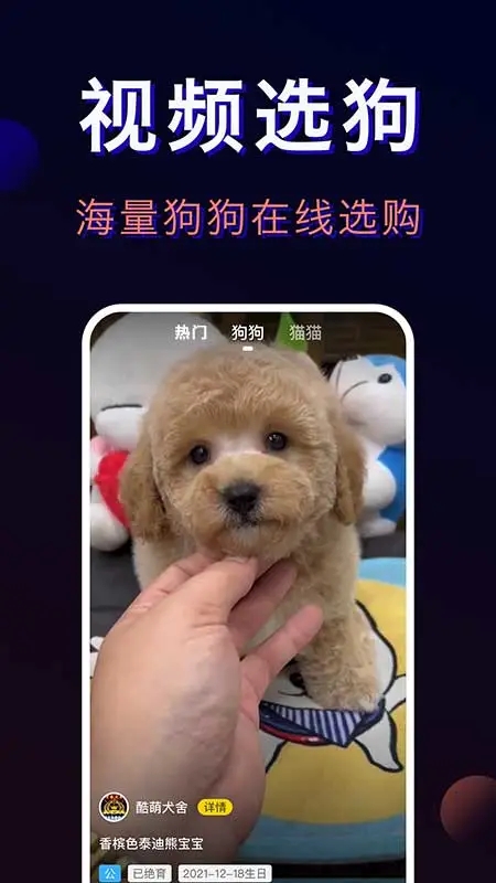 宠物宝app官方下载