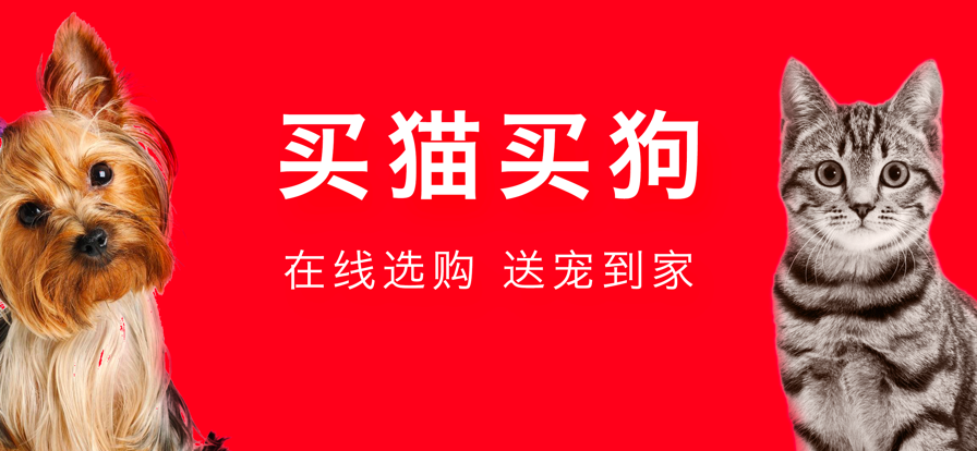 宠物宝app官方下载