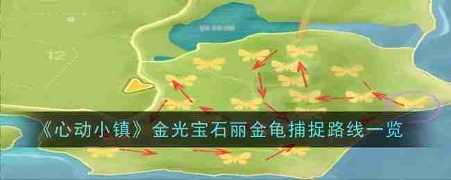 心动小镇金光宝石丽金龟捕捉路线一览