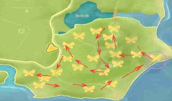 《心动小镇》金光宝石丽金龟捕捉路线一览