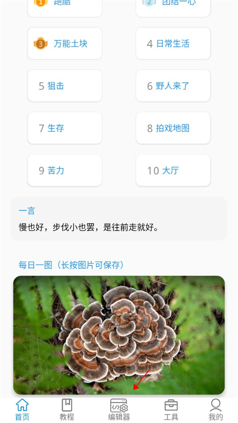 17096027219177778.jpg