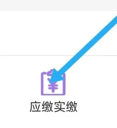 青海税务app官方下载