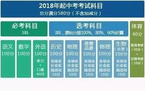 三角洲行动深度解析：蜂医技能特点、应用策略与实战使用技巧