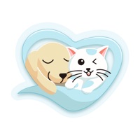 述宠新版本下载app
