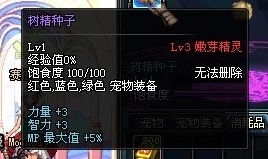DNF游戏中哪些宠物具备进化能力？全面解析与推荐