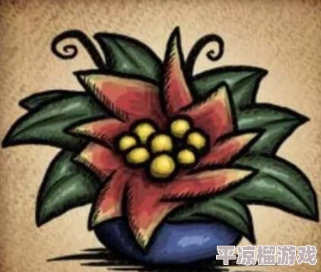 饥荒游戏中仙人掌花的多种效果及用途详细介绍