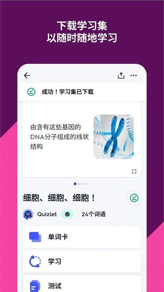 quizlet英语最新版2024安卓下载2025
