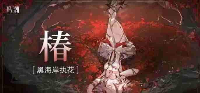 鸣潮椿主c怎么配队 椿主c阵容搭配攻略
