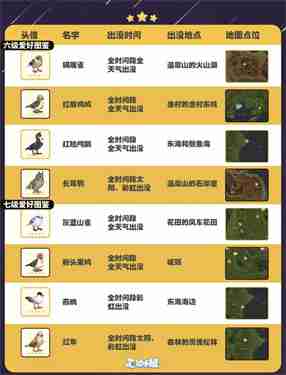 心动小镇五子雀在哪里出现