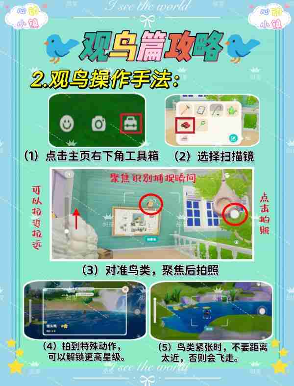 心动小镇如何观鸟 心动小镇观鸟攻略介绍