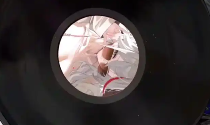 碧蓝航线埃吉尔l2d睡衣皮肤彩蛋介绍 碧蓝航线埃吉尔l2d睡衣皮肤彩蛋有哪些
