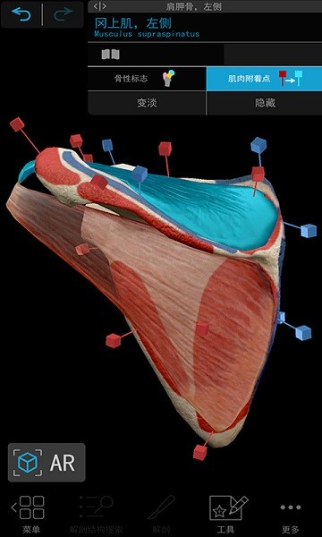 人体解剖3d教学app最新安卓版本