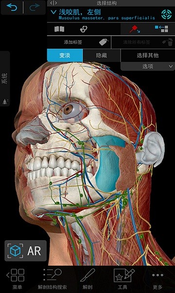 人体解剖3d教学app最新安卓版本