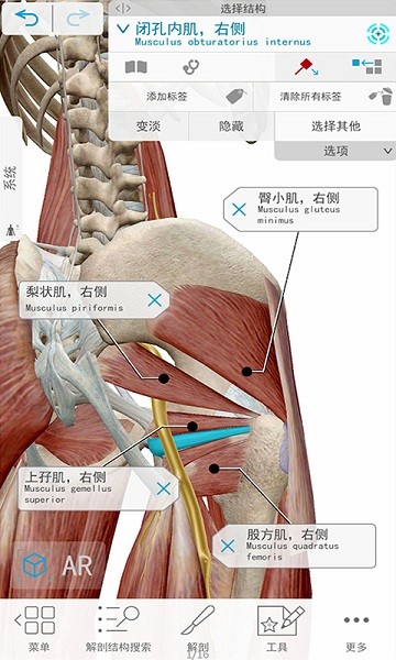 人体解剖3d教学app最新安卓版本