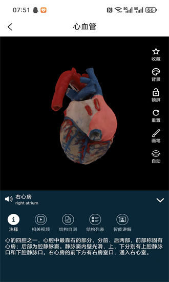 云解剖官方下载