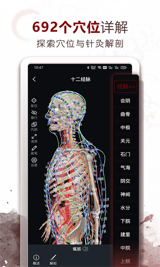 中医经络穴位app安卓版下载