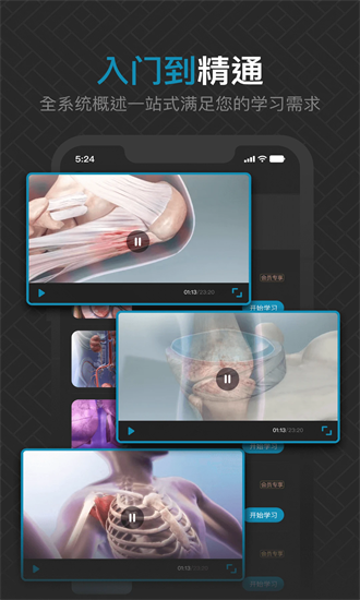 3d肌肉解剖官方版下载最新app
