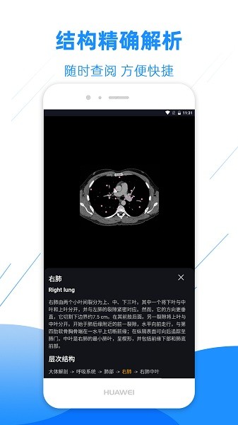 影像解剖图谱免费版安卓下载2025